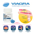 Il nuovo aggiornamento del Viagra per il 21¡ã secolo, efficace in 15 minuti